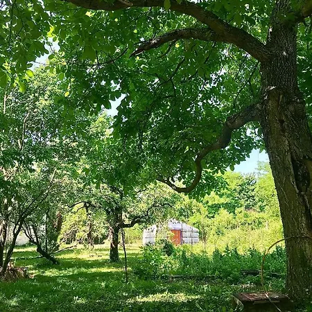 Batul Kert Campo de lujo